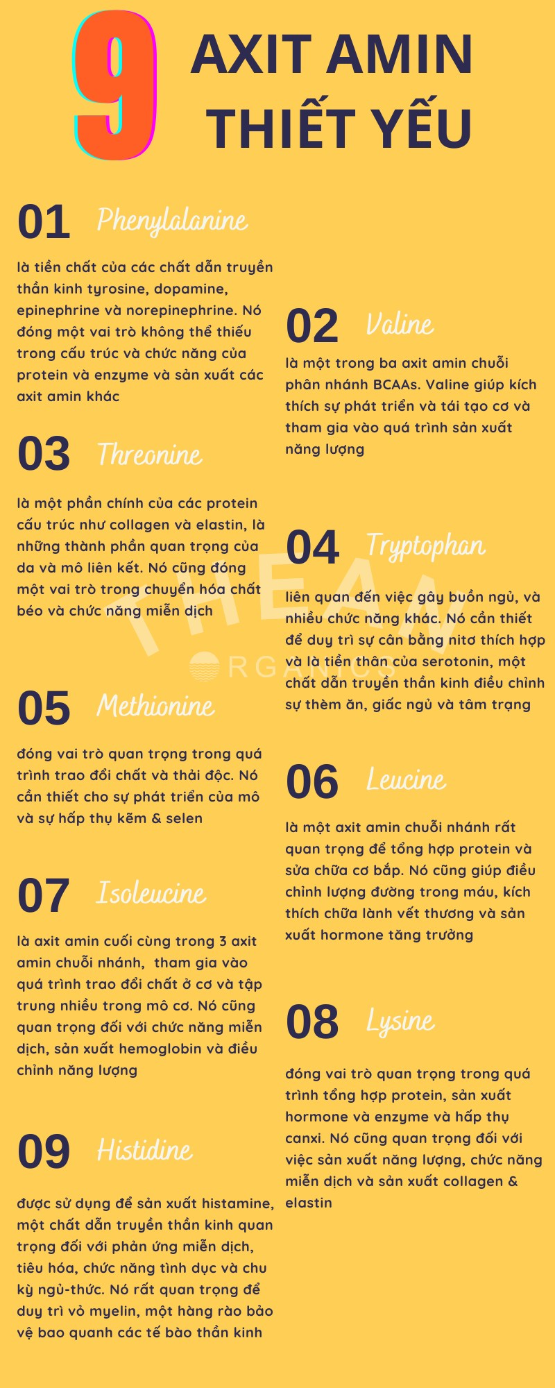 Những điều cần biết về protein 20