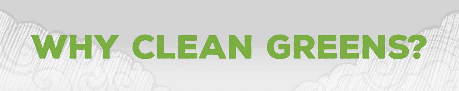 Cung cấp rau xanh & protein thực vật Sunwarrior Clean Greens & Protein 7 Cung cấp rau xanh & protein thực vật Sunwarrior Clean Greens & Protein 7