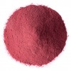 Bột việt quất hữu cơ Food To Live Organic Blueberry Powder 3