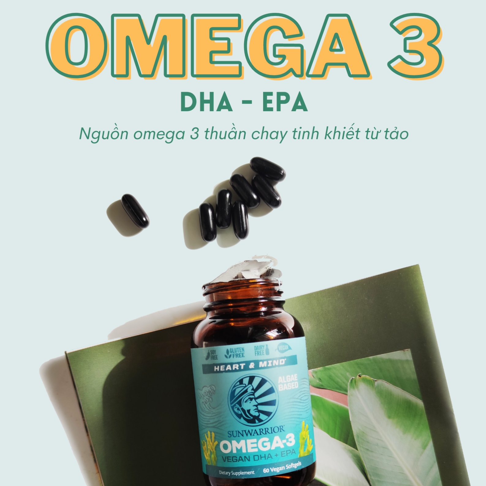 Omega 3 từ tảo Sunwarrior Vegan DHA & EPA 4