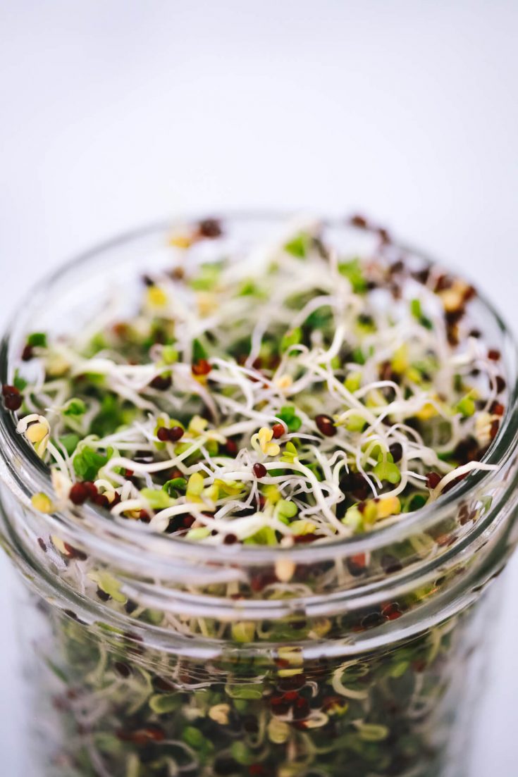 Sulforaphane: Hợp chất chống lão hóa, ung thư và nhiều hơn thế 2