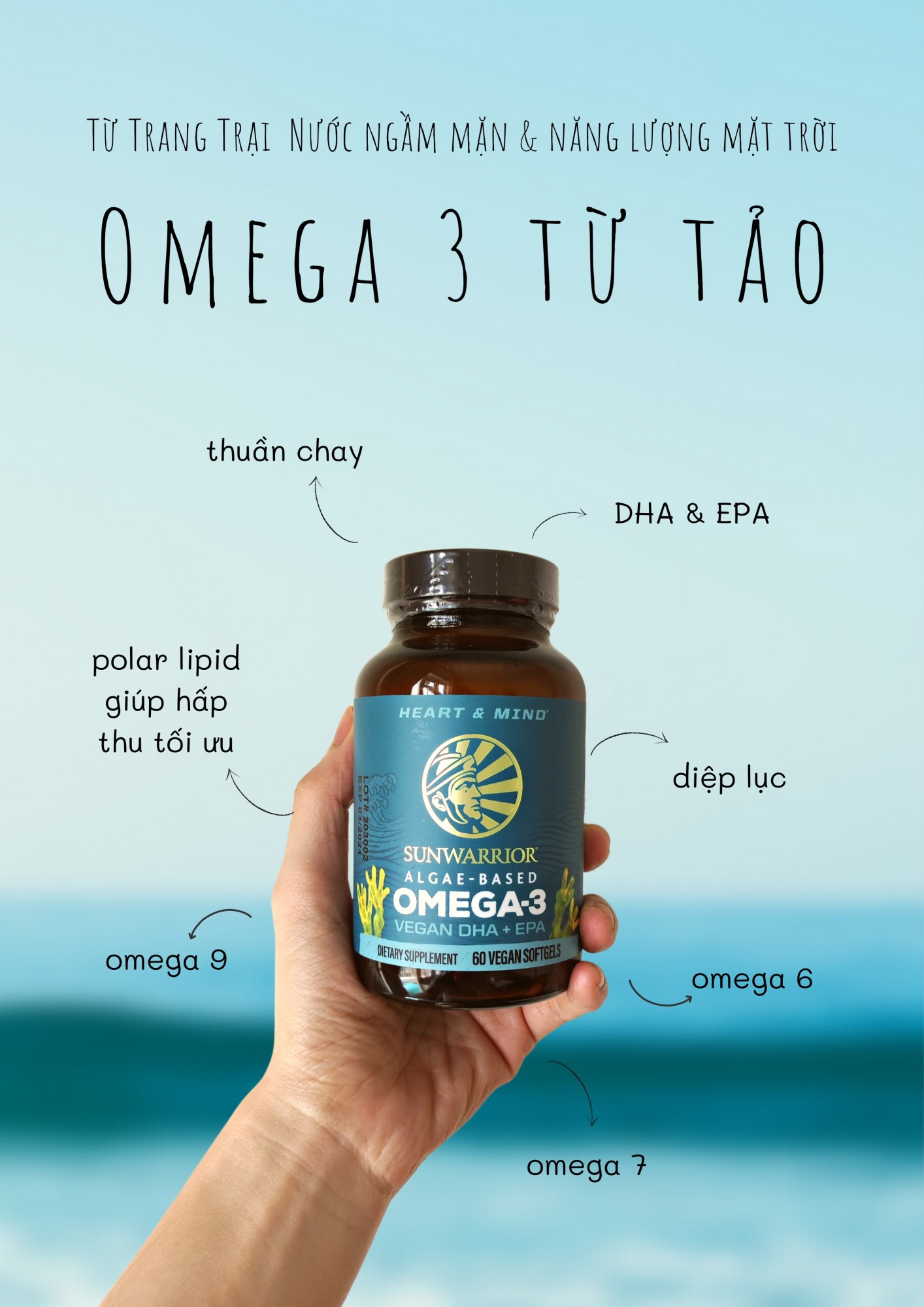 Hỗ trợ xương khớp khỏe mạnh 4