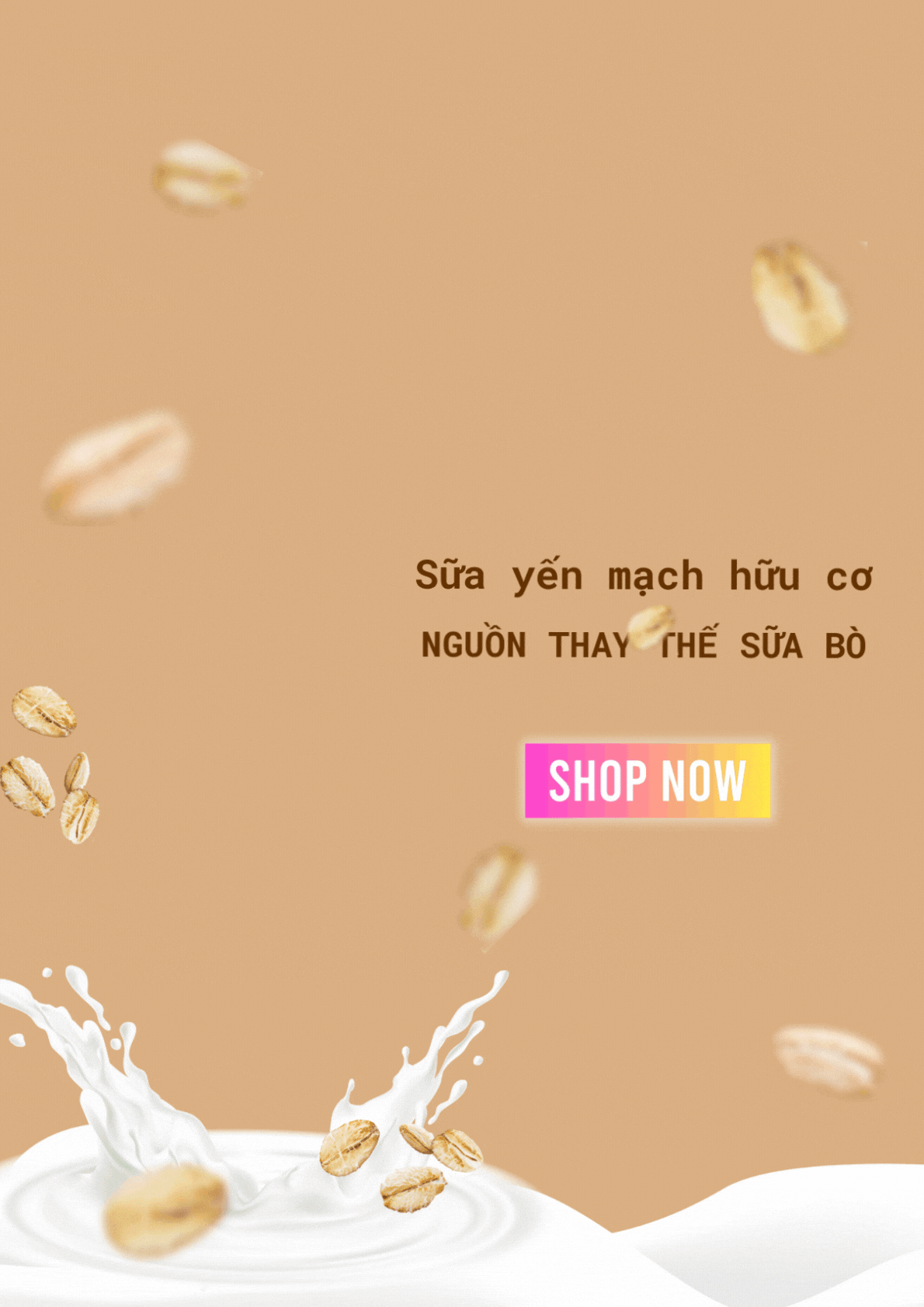 Landing Page 1 17