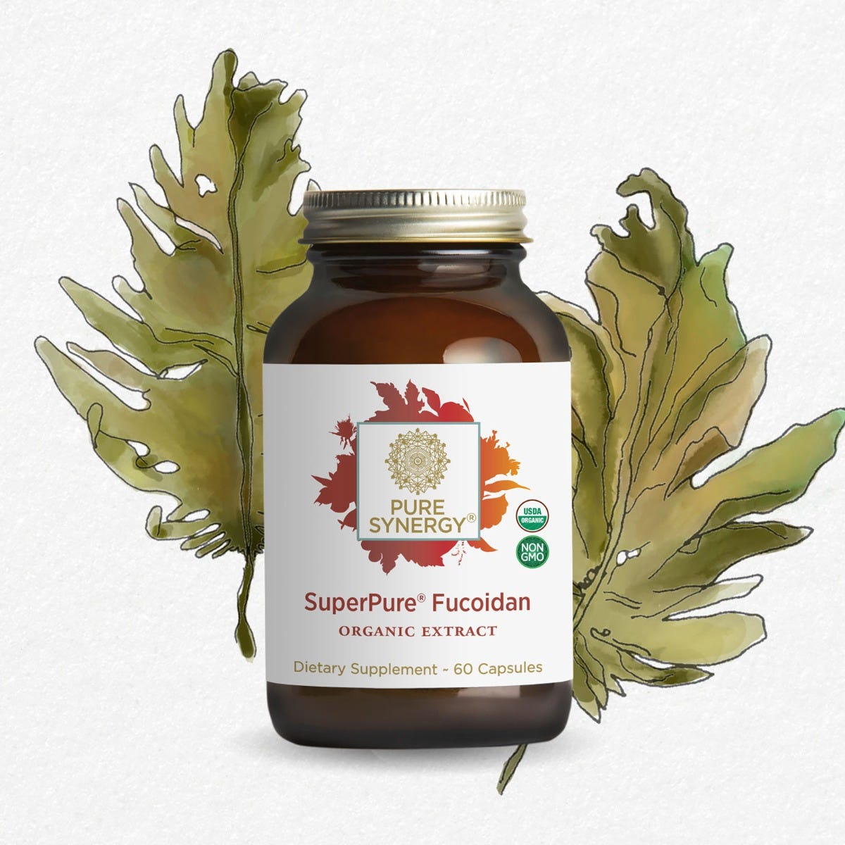 Fucoidan hữu cơ Pure Synergy SUPERPURE® FUCOIDAN ORGANIC EXTRACT