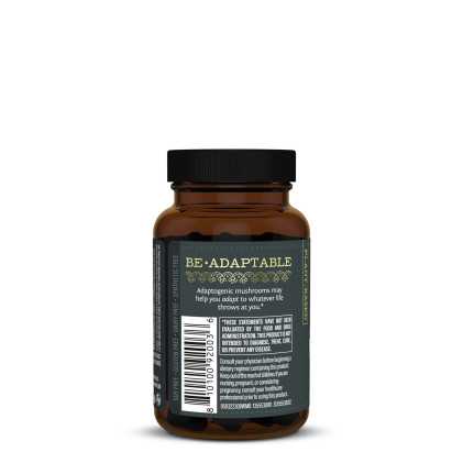 Hỗn hợp nấm hữu cơ Sunwarrior Be•Well Organic Mushroom Blend - Ảnh 4