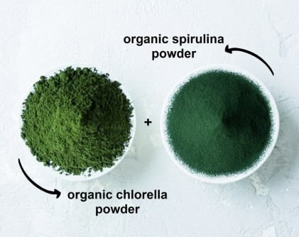 Bột hỗn hợp tảo spirulina và chlorella hữu cơ Food To Live Organic Algae Powder Mix - Ảnh 3