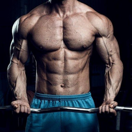 Protein thực vật có tăng cơ không?