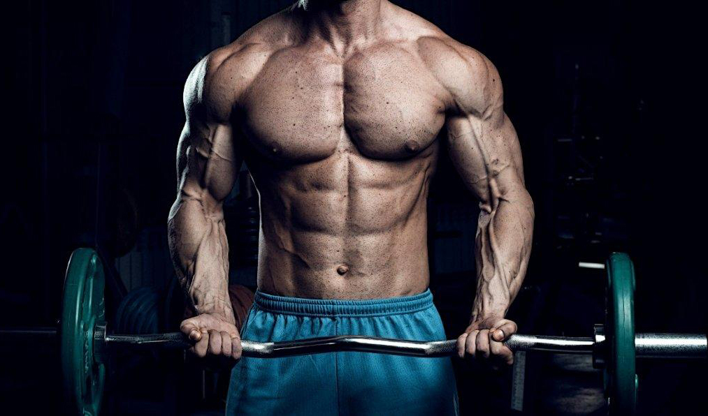 Protein thực vật có tăng cơ không?