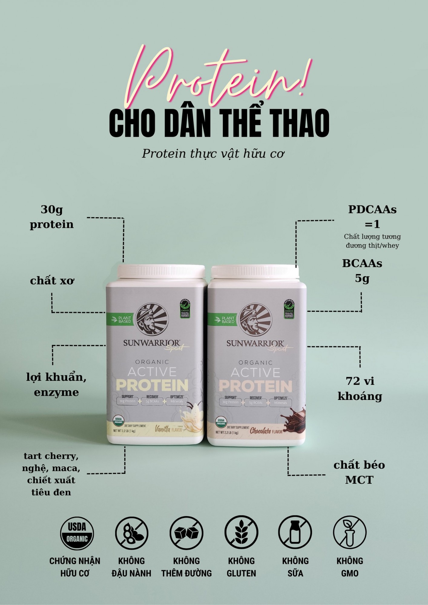 Active Protein Sunwarrior cho dân thể thao