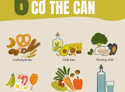 Trang chủ 110 Dinh dưỡng là gì?