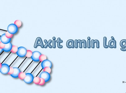 Axit amin là gì? Những tác dụng của nó với cơ thể