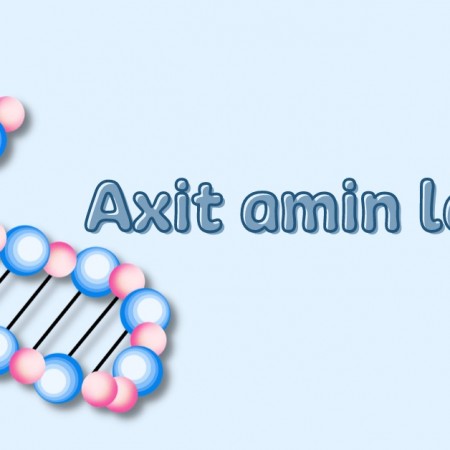 Axit amin là gì? Những tác dụng của nó với cơ thể
