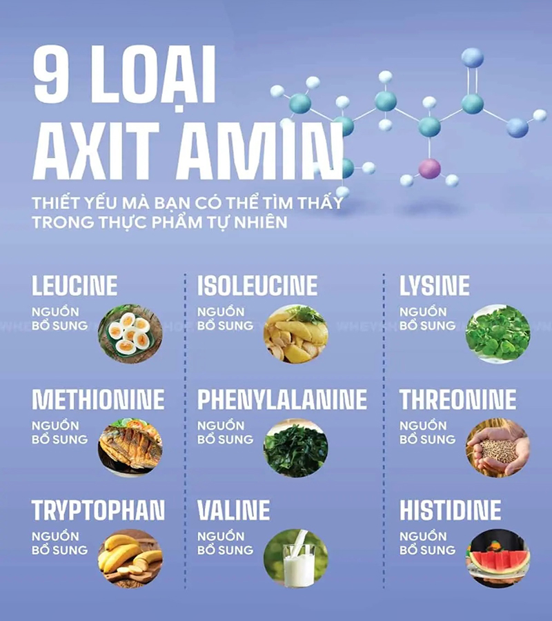 các loại axit amin thiết yếu