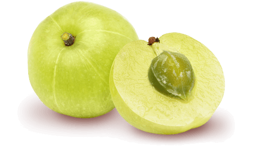 Quả Amla hữu cơ