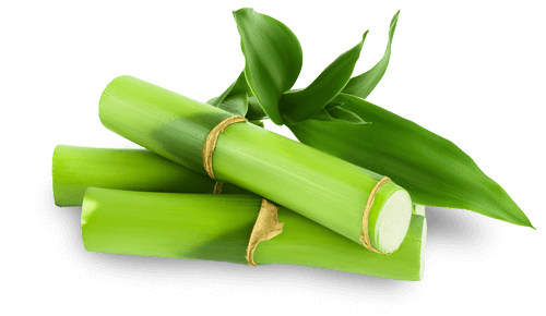 Silica từ tre