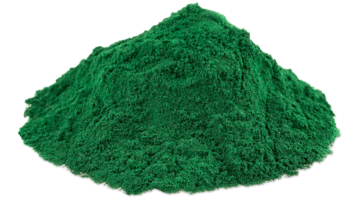 Tảo Spirulina