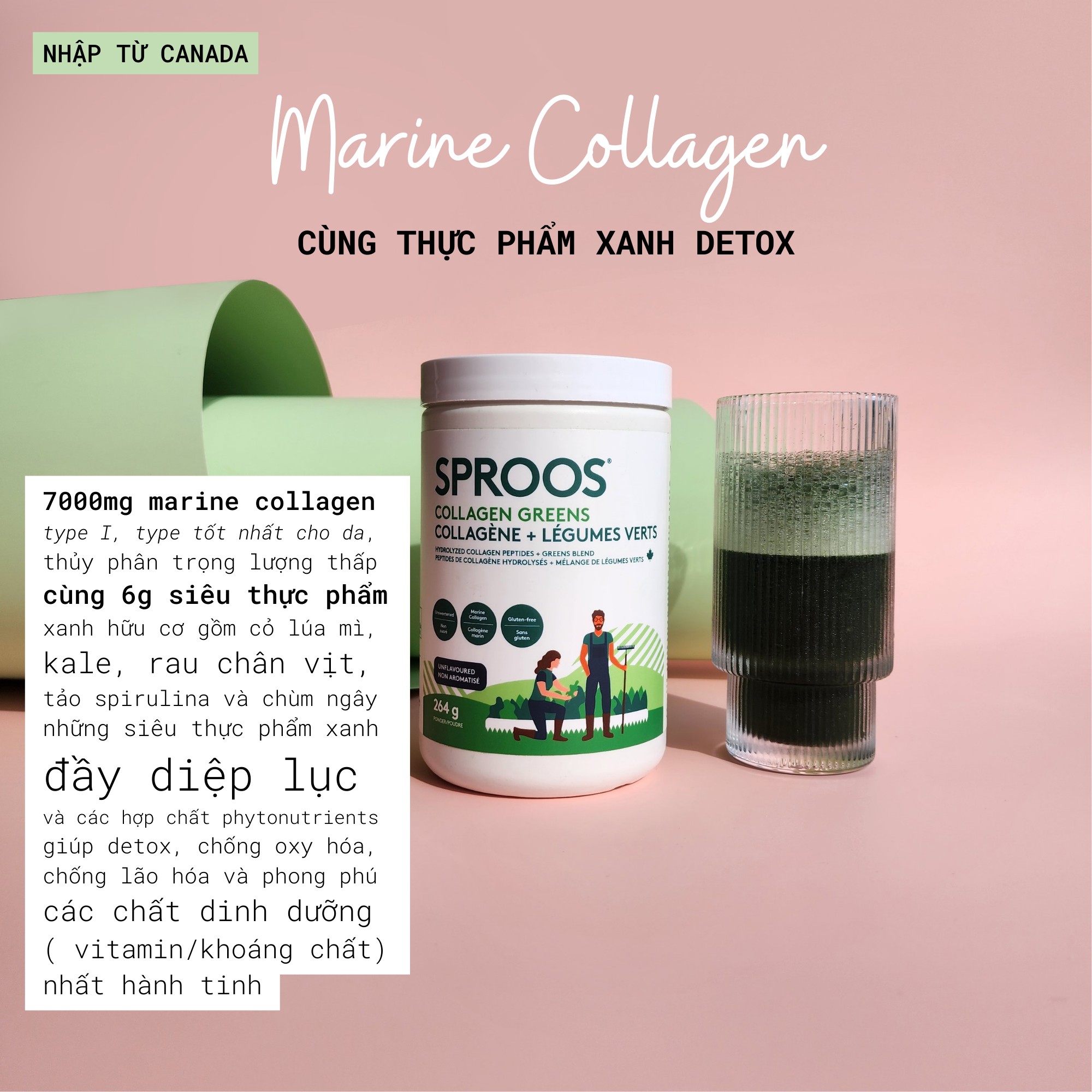 4 loại collagen bán chạy nhất 32