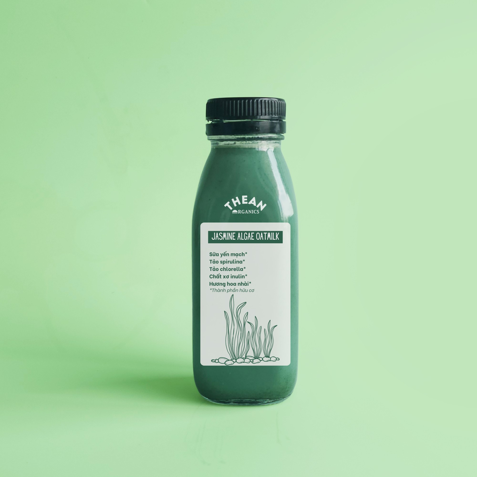 Jasmine Algae Oatmilk 1 Jasmine Algae Oatmilk 1