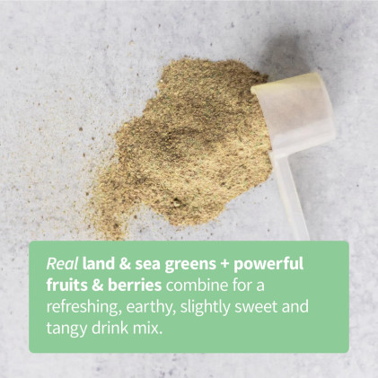 Bột các loại thực phẩm xanh hữu cơ Sprout Living Slightly Sweet Greens Blend - Ảnh 4