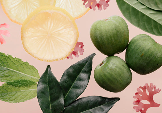 Protein thực vật Nutra Organics Thriving Family 2