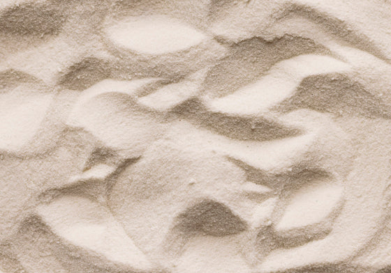 Protein thực vật Nutra Organics Thriving Family 4