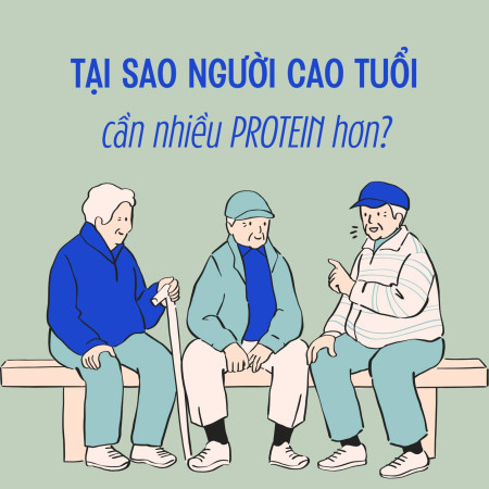 Tại sao người cao tuổi cần nhiều protein hơn ?
